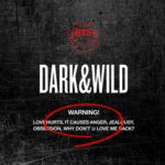 BTS - 1st Album DARK & WILD