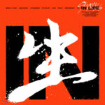 Stray Kids - 1st Album Repackage IN LIFE (Standard Ver.) (Random Ver.)